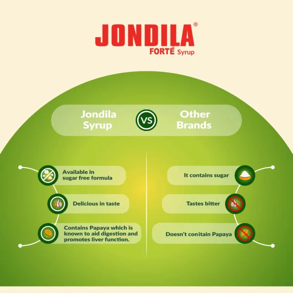 Jondila Sugar Free Syrup - Image 3