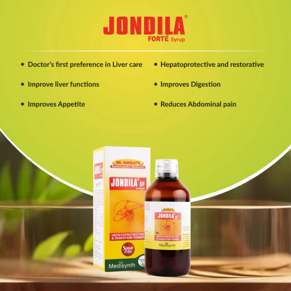 Jondila Sugar Free Syrup - Image 2